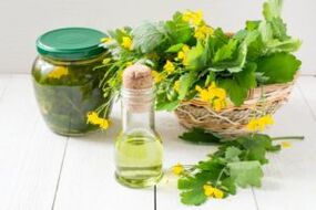 Infusions and grasses